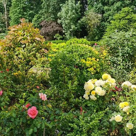 Chateau De Brinville