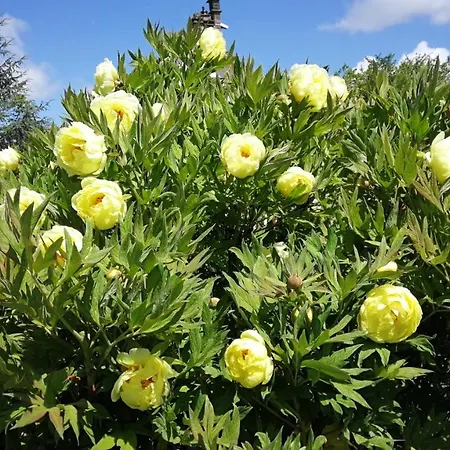 Chateau De Brinville 度假居 *