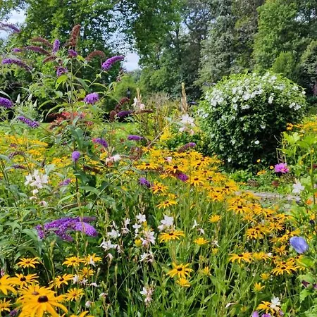 Chateau De Brinville