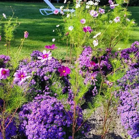 Chateau De Brinville 度假居