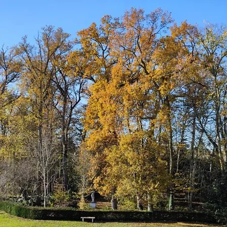 Chateau De Brinville Saint-Sauveur-sur-Ecole