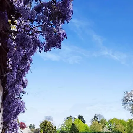 Chateau De Brinville 度假居 *